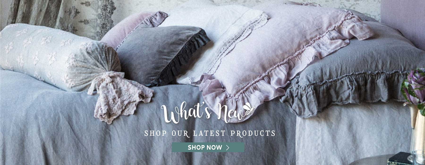 What’s New - Shop Our Latest Products