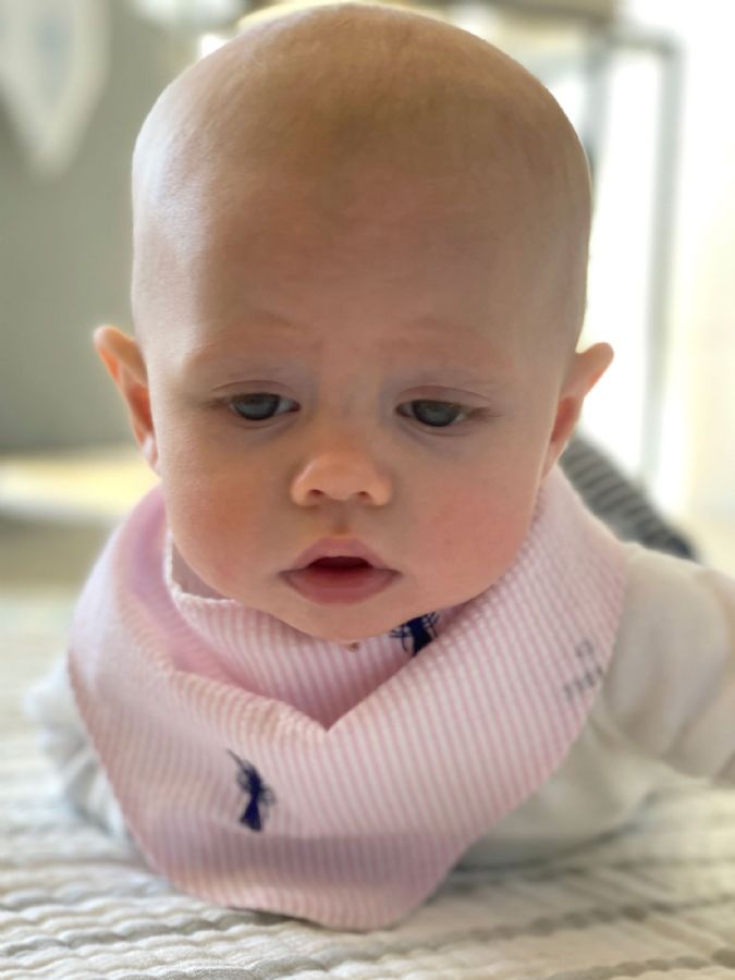 Bandana Bib with Navy Embroidered Lobsters in Pink Seersucker by Piping Prints