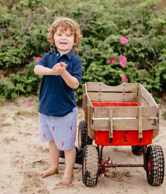 Red Lobster Shorts by Piping Prints