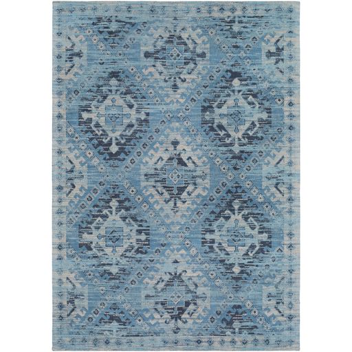 Amsterdam Rug in Blue by Surya
