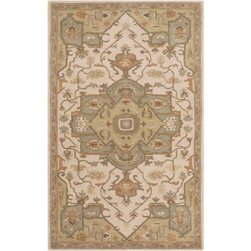 Ceasar Rug in Khaki by Surya