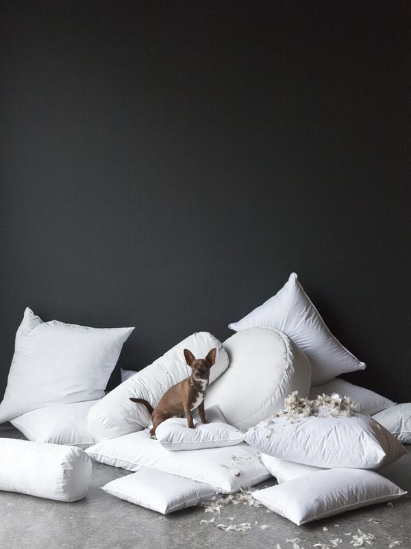 Bella Notte Linens Divine Down Pillow & Bedding Inserts by Bella Notte Linens